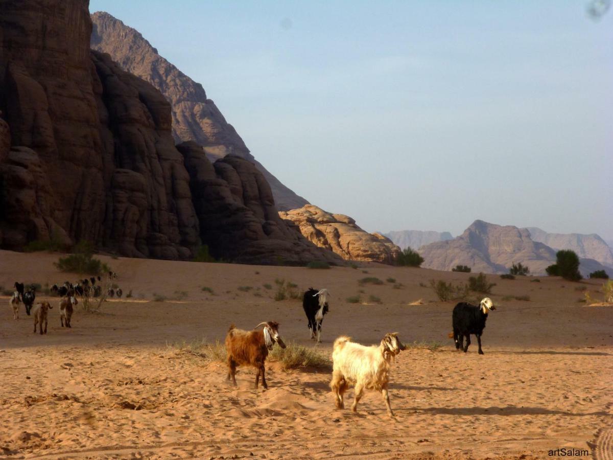 Hotel Sunrise Camp Wadi Rum Exteriér fotografie