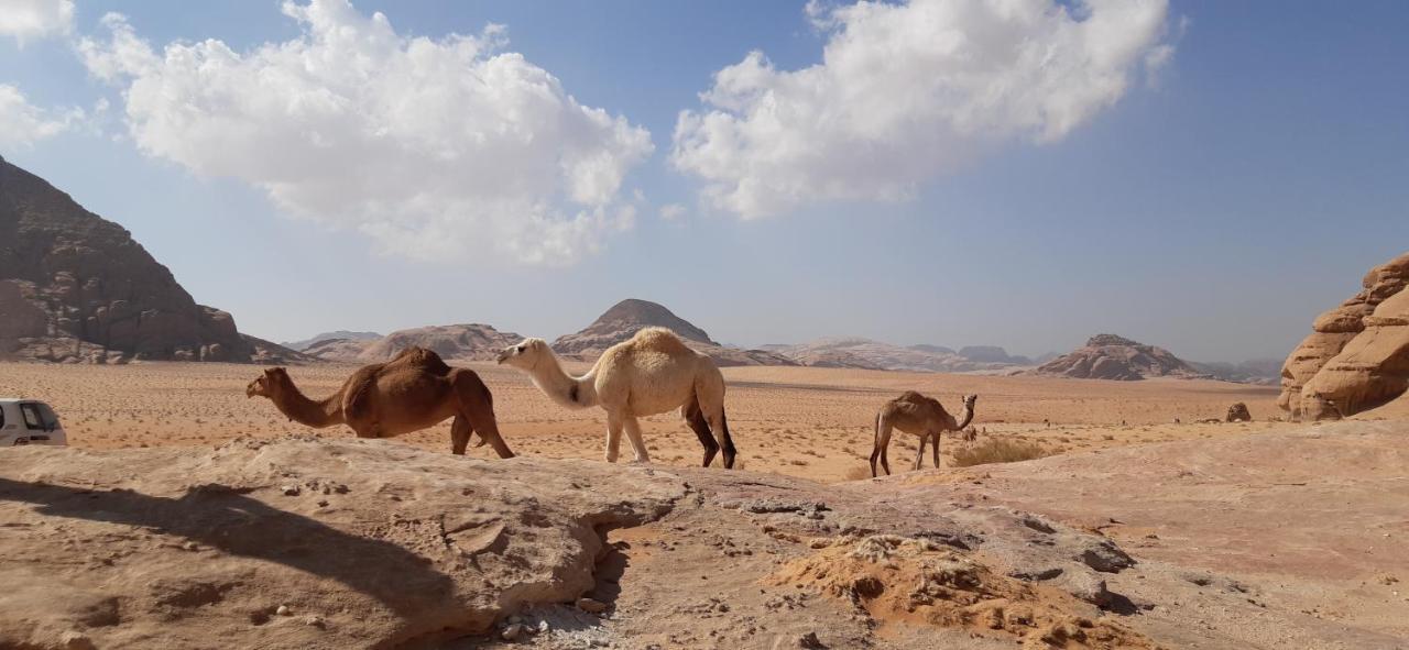 Hotel Sunrise Camp Wadi Rum Exteriér fotografie