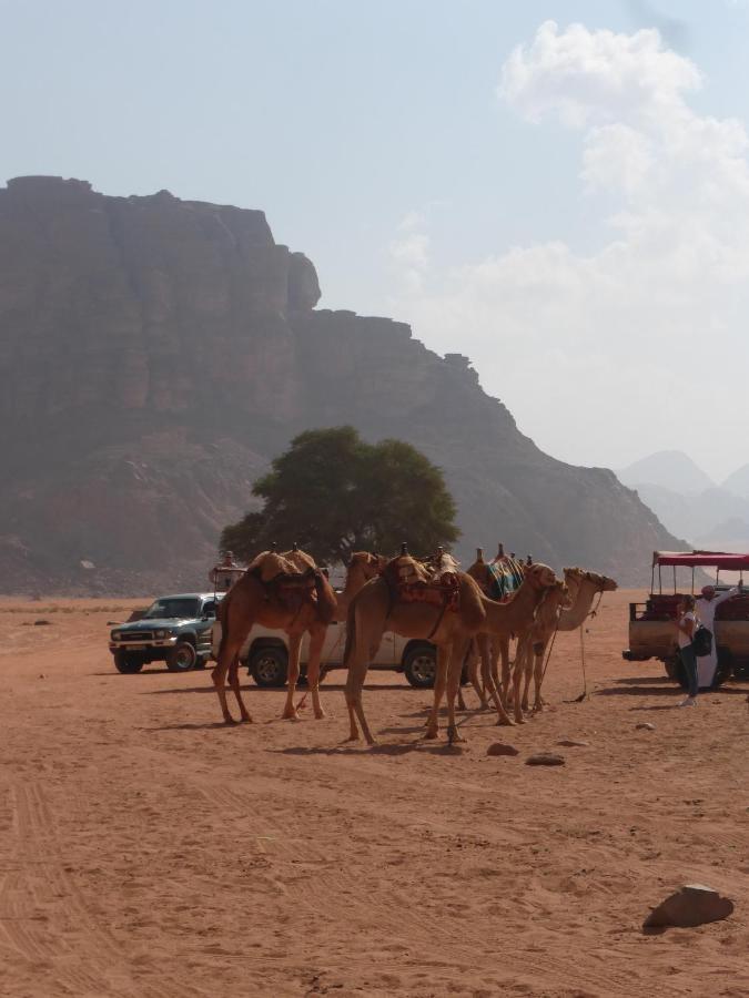 Hotel Sunrise Camp Wadi Rum Exteriér fotografie