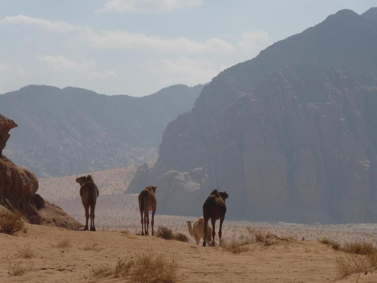 Hotel Sunrise Camp Wadi Rum Exteriér fotografie